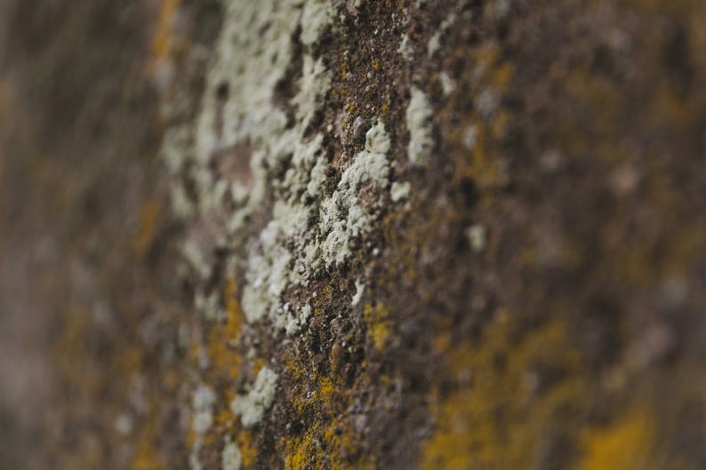 IMG_8733 web